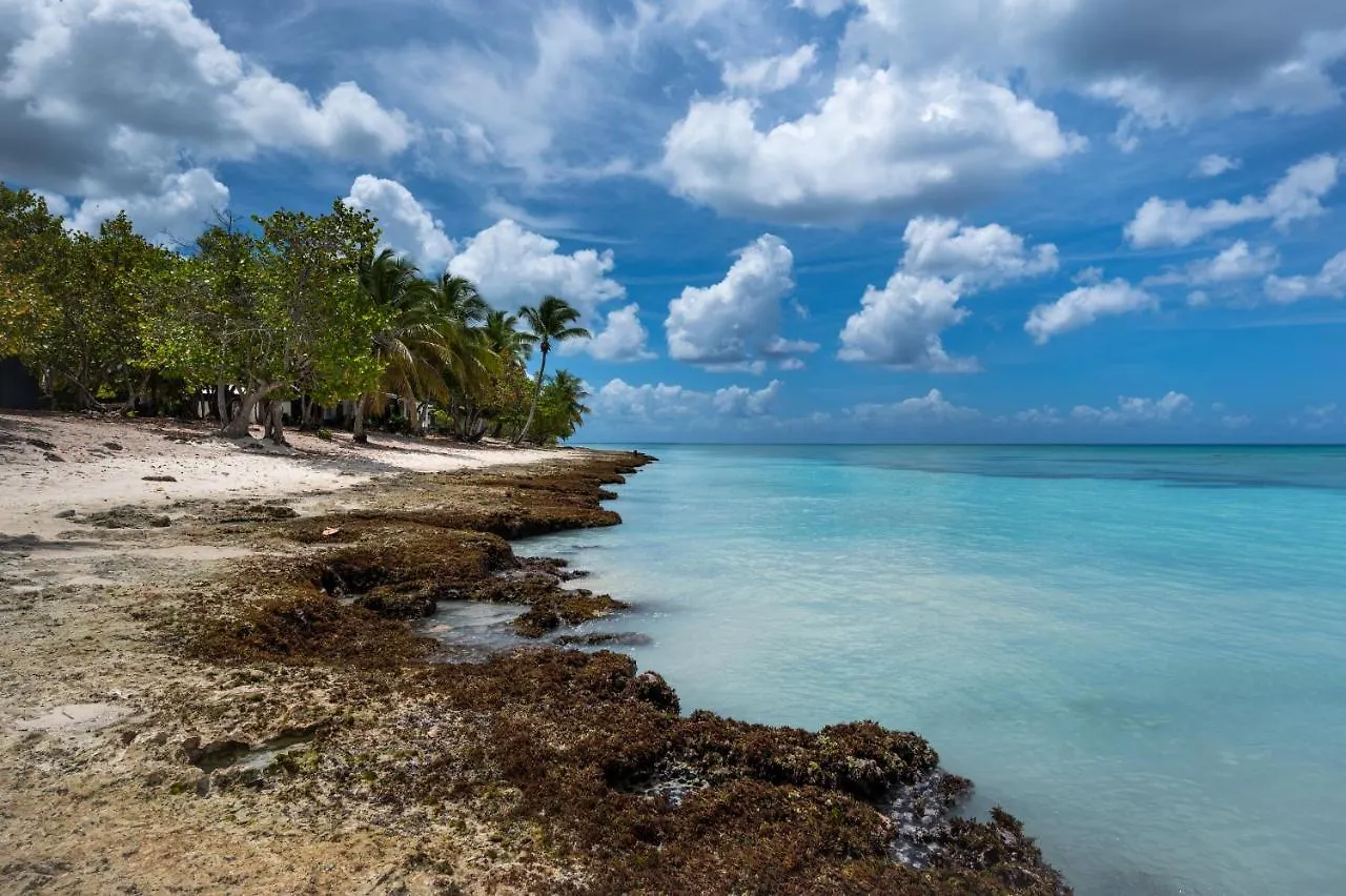 Family Dominicus Apartment - Bayahibe